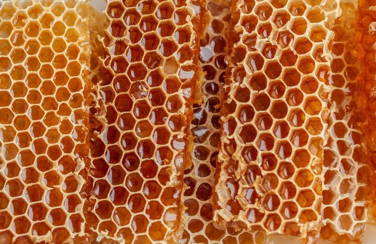 Dlaczego miód krystalizuje? Pasieka z Pasją Hawran o naturalnej zmianie konsystencji